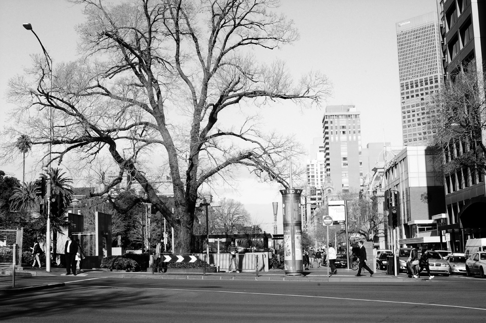 city-traffic-walk