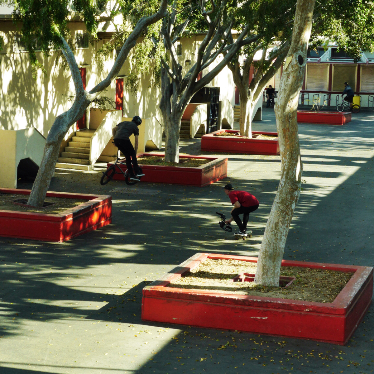 chris-feb-whip-la
