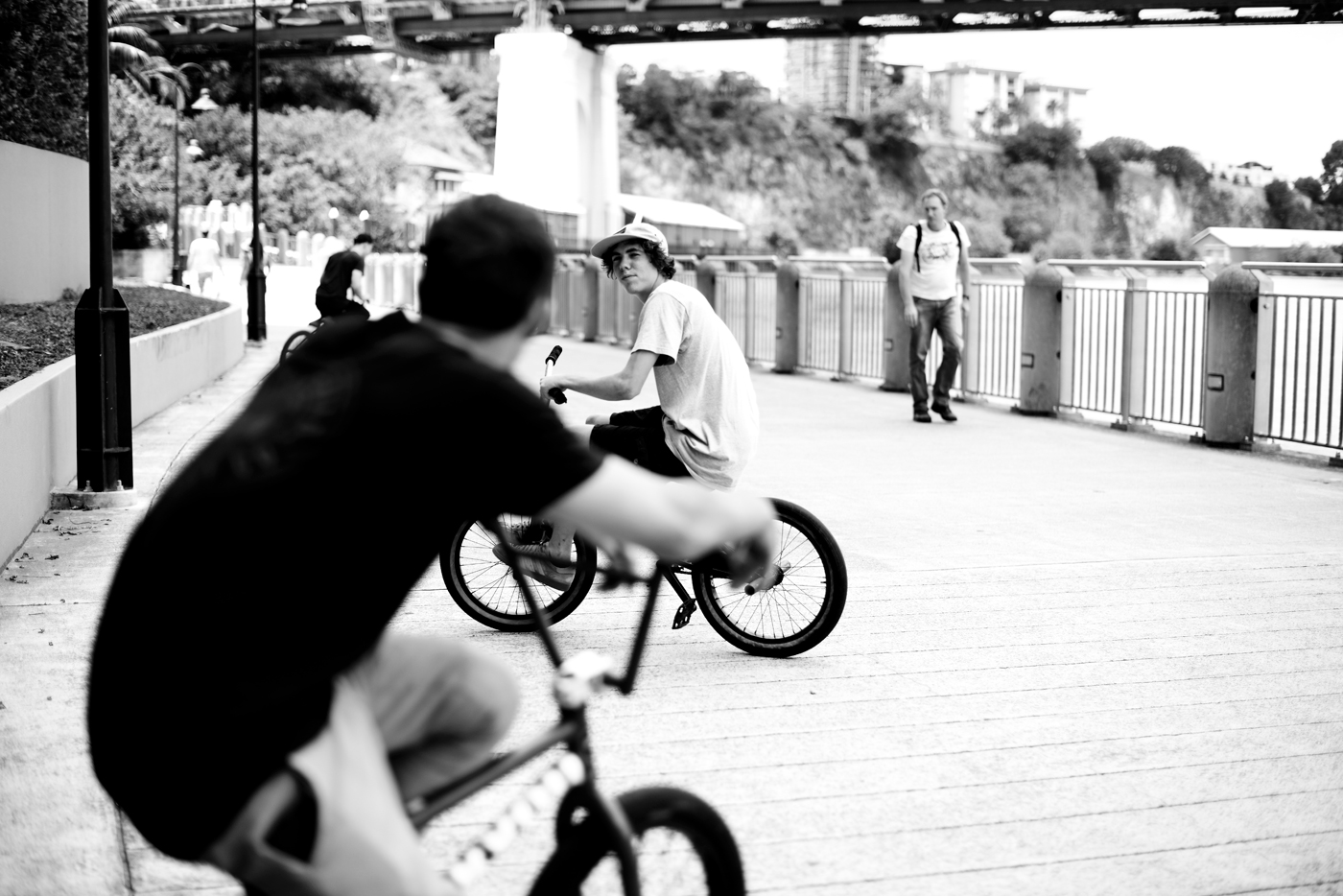 tiny-anton-bne-_LR