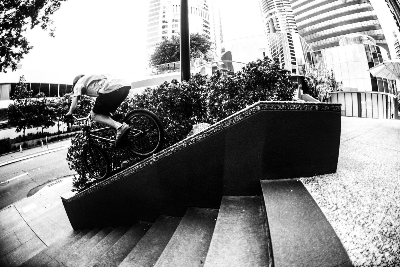 tiny-wheels-ledge_LR