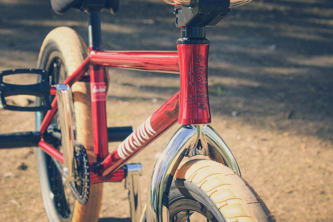 ronniebike3- _LR