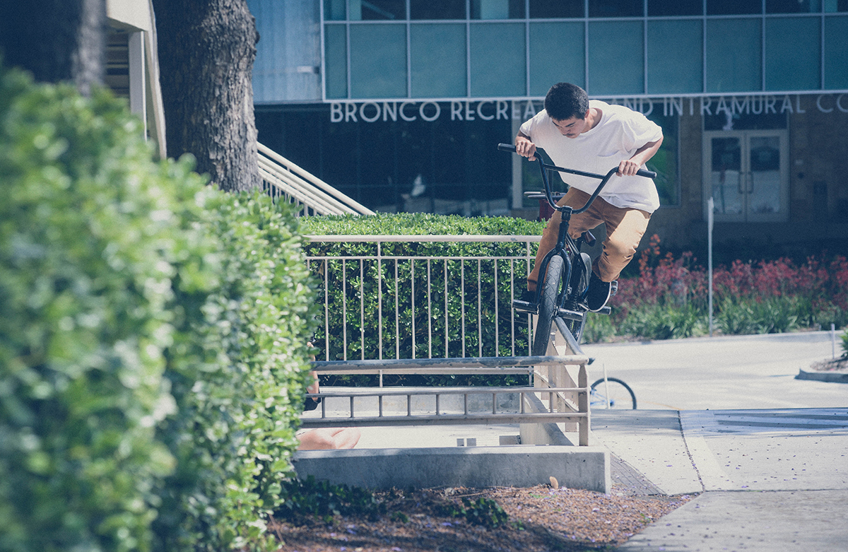 wolf-back-crook-uni-_LR