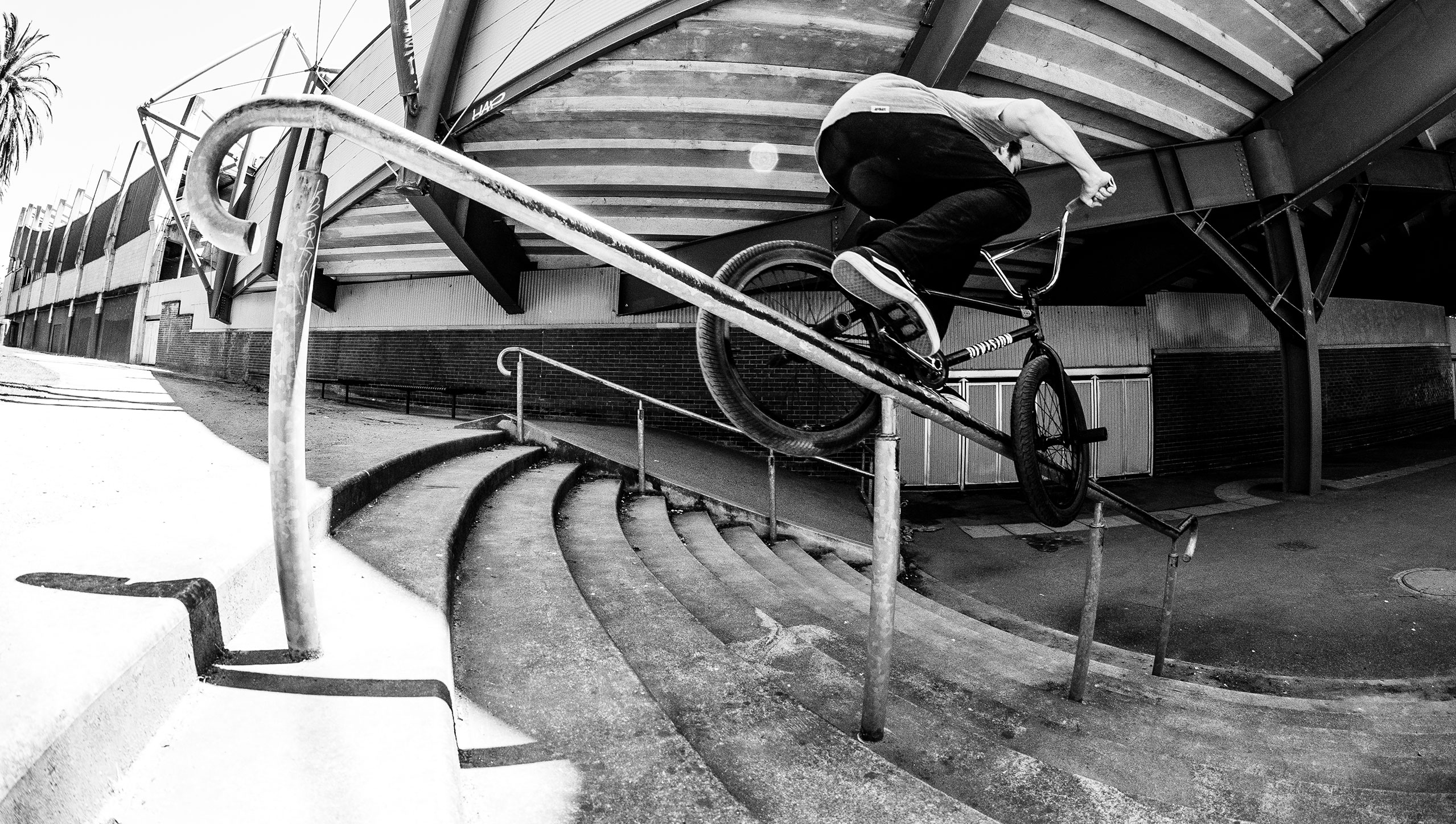 Mitchell McDonald